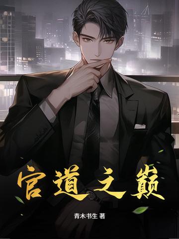 官道之巅未删减全文