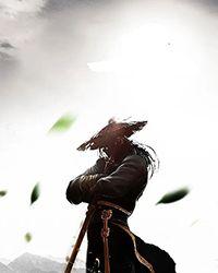 天子宁有种txt