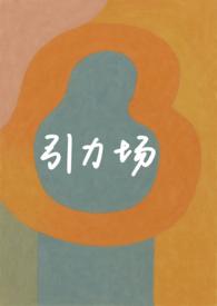 引力场方程解释