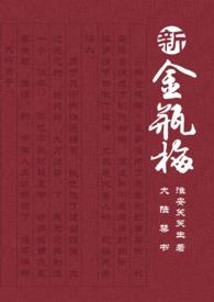 新 金 瓶 梅 在线看