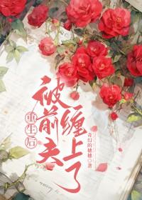重生后我被前夫关进了小黑屋免费阅读