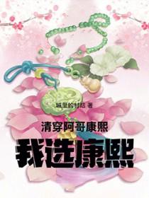 清穿康熙阿哥