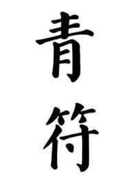 青符讲的什么
