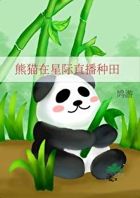 星际幼崽熊猫美食直播