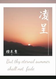 凌呈by檀东意全文