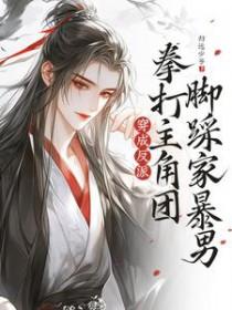 穿成反派拳打主角团脚踩家暴男讲的什么