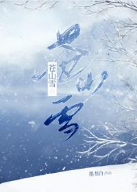 苍山雪txt百度