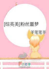 粉丝噩梦综英美番外