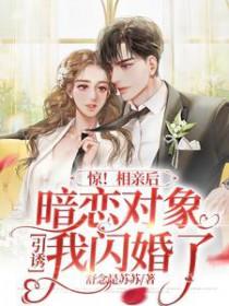 和相亲对象闪婚之后