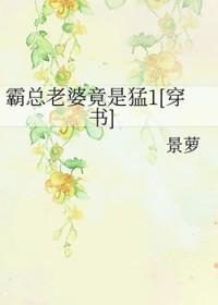 霸总是谁
