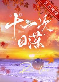 看十一次日落什么意思