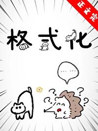 格式化是什么意思