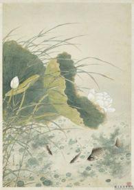 野有蔓草拼音