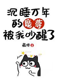 误把魔头当娇花免费阅读番外三