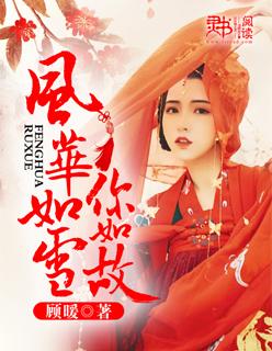 风华如故晋江