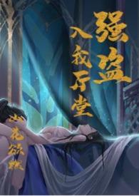 强盗的意思是什么意思