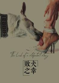 败犬同人合集