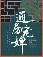 通房宠妾古言