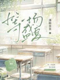 等一场盛夏by薄柿茶茶