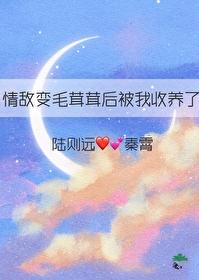 情敌变情人的纯爱