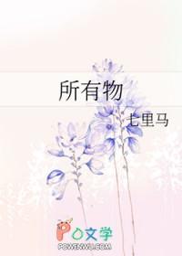 所有物和私有物的区别