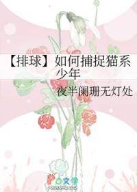 排球少年猫控少女的日常