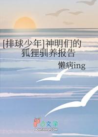排球少年狐狸队是哪队