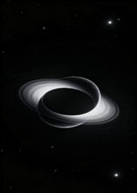 双星引在线观看
