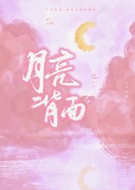 月亮背面的隐喻和比喻