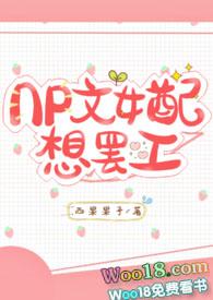 np之女配想