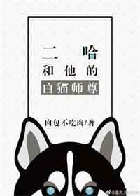 二哈和他的白猫师尊番外