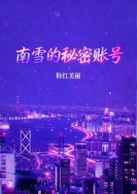 南雪的秘密账号全文阅读