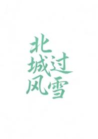 北城晚风起全文阅读