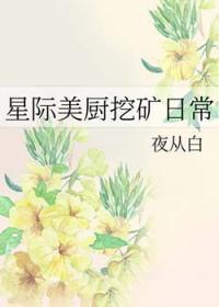 星际美食采集文