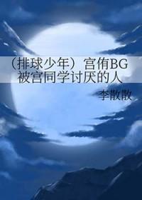 排球少年宫氏兄弟