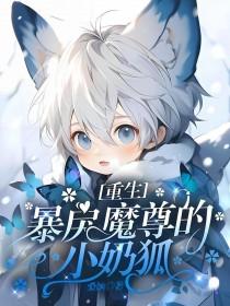 暴庆魔尊的小奶狐免费阅读