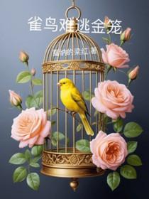 雀鸟与金笼攻洁吗