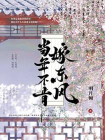 当年不肯嫁东风番外