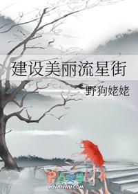 建设美丽流星街免费阅读