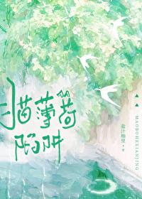 猫薄荷陷阱txt百度