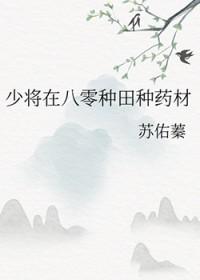 少将在八零当药农苏浅浅免费阅读全文