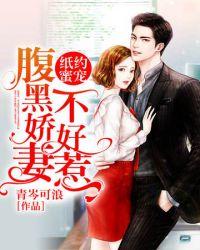 纸约蜜宠腹黑娇妻不好惹 青岑可浪