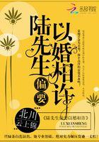 陆先生
