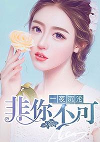 一夜沉沦全文免费观看最新章节更新