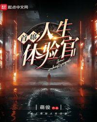 首席人生体验官sodu