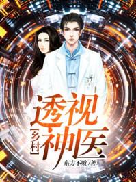 乡村透视神医赵铁阳全文免费