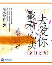 豪门宠趣