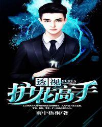绝世护花高手