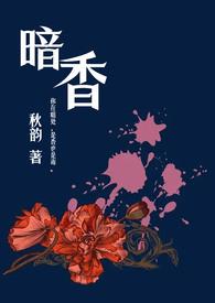 暗香(舅甥1v1) txt