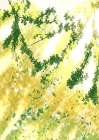阴暗普女但第三者全文免费阅读